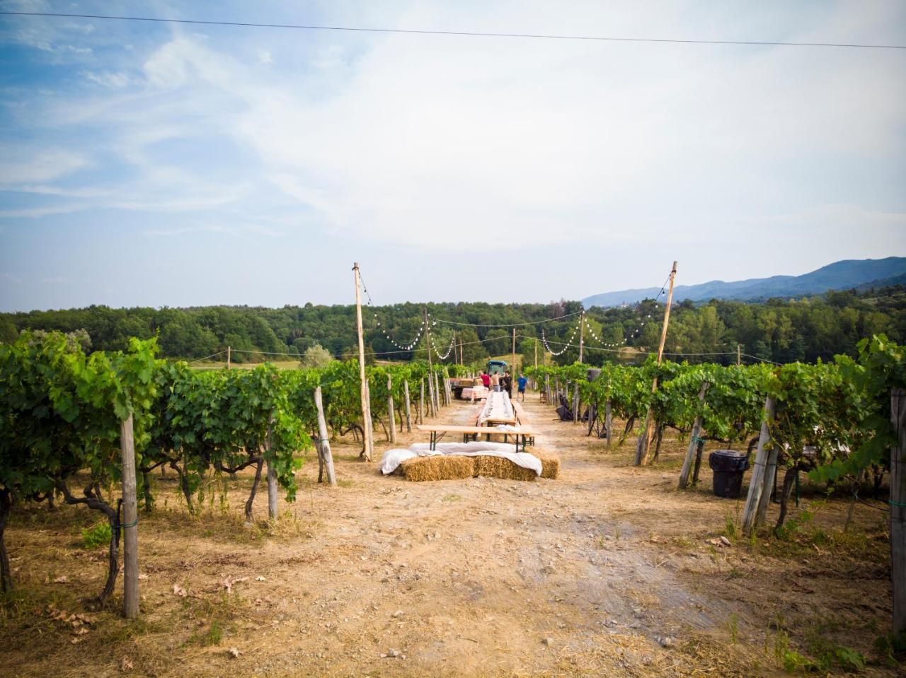 Fattoria La Palagina Alloggio per agriturismo Figline Valdarno
